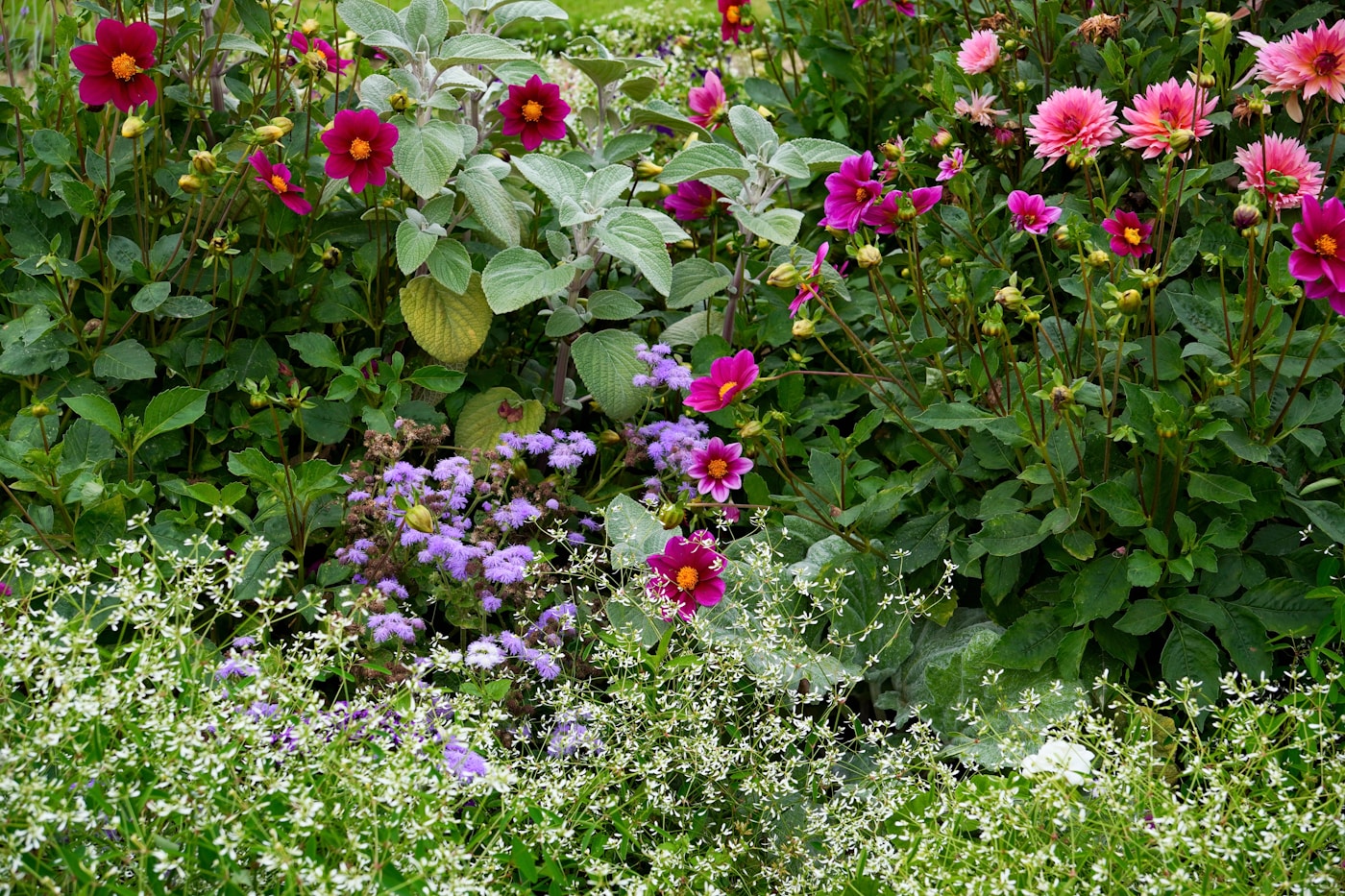 Plante în ghivece, alese cu grijă la Ariflora Garden